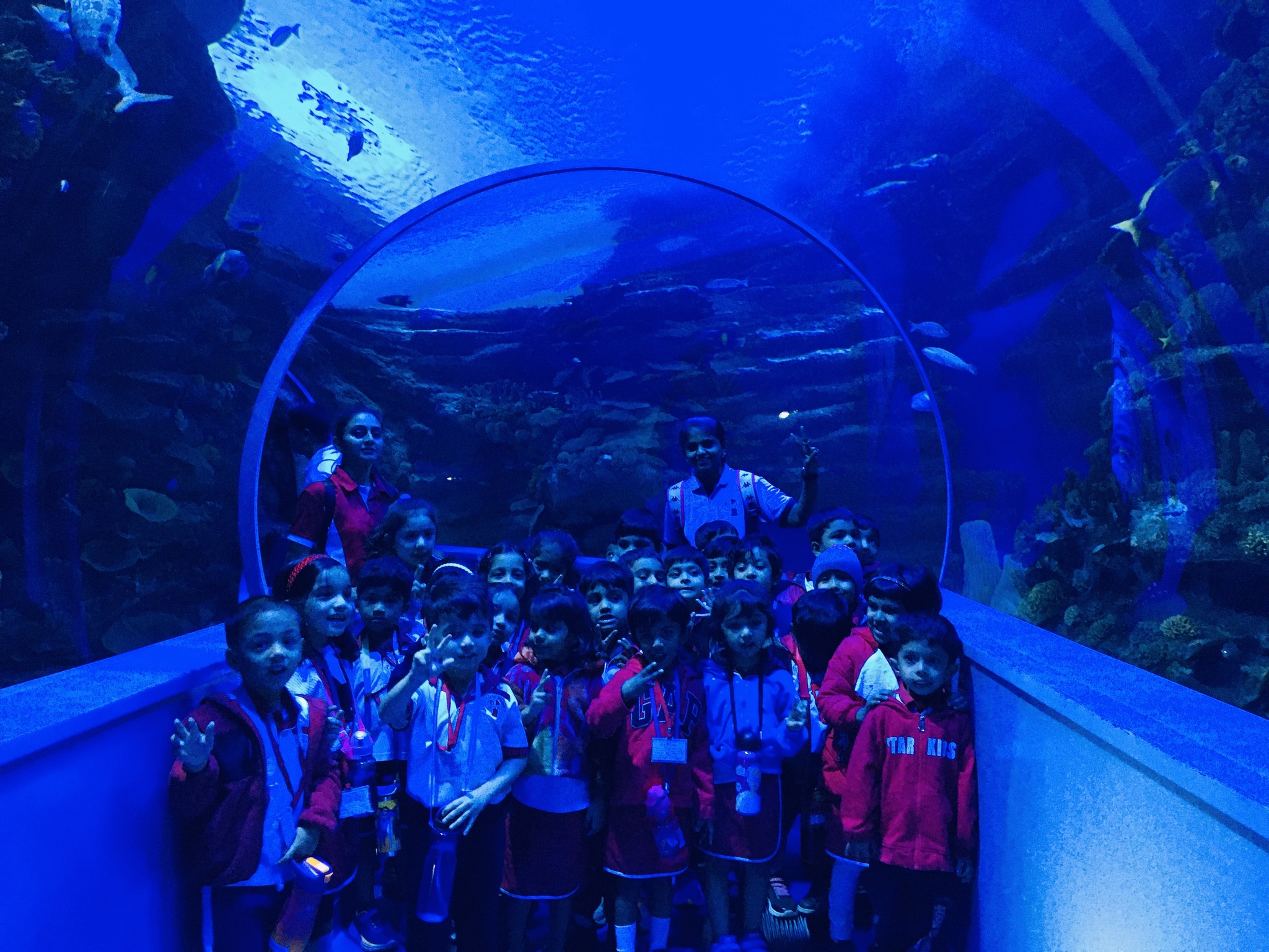 Educational Field Trip - A Visit to the Aquarium (20-February-2025) - World Nursery 44 Educational Field Trip - A Visit to the Aquarium (20-February-2025) - World Nursery 493728964 1226024272856092 1855004622408006856 n