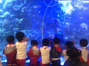 EDUCATIONAL FIELD TRIP-A VISIT TO THE AQUARIUM 25.02.2026 - World Nursery 641458057 1491382086320308 1507109471030849048 n