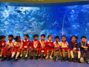 EDUCATIONAL FIELD TRIP-A VISIT TO THE AQUARIUM 25.02.2026 - World Nursery 643439314 1491383736320143 2578232653260166416 n