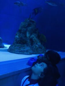 EDUCATIONAL FIELD TRIP [A VISIT TO AQUARIUM]] 29/07/2026 - World Nursery IMG 6614