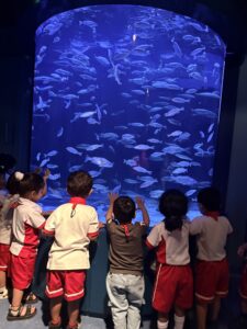 EDUCATIONAL FIELD TRIP [A VISIT TO AQUARIUM]] 29/07/2026 - World Nursery IMG 8446