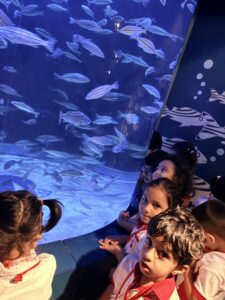 EDUCATIONAL FIELD TRIP [A VISIT TO AQUARIUM]] 29/07/2026 - World Nursery IMG 8452