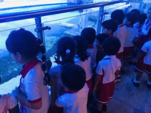 EDUCATIONAL FIELD TRIP [A VISIT TO AQUARIUM]] 29/07/2026 - World Nursery IMG E0630