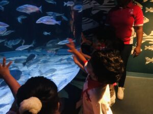 EDUCATIONAL FIELD TRIP [A VISIT TO AQUARIUM]] 29/07/2026 - World Nursery IMG E0643