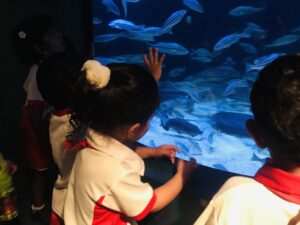 EDUCATIONAL FIELD TRIP [A VISIT TO AQUARIUM]] 29/07/2026 - World Nursery IMG E0644