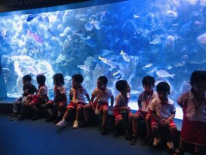 EDUCATIONAL FIELD TRIP [A VISIT TO AQUARIUM]] 29/07/2026 - World Nursery IMG E0683