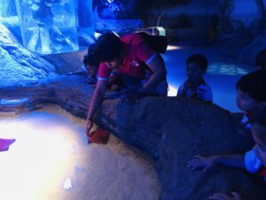 EDUCATIONAL FIELD TRIP [A VISIT TO AQUARIUM]] 29/07/2026 - World Nursery IMG E0695